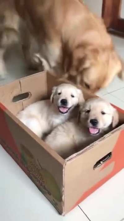 Maybe maybe maybe