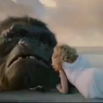 Nooo macaco