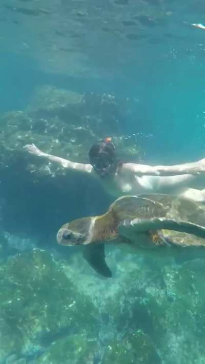 Naked snorkeling