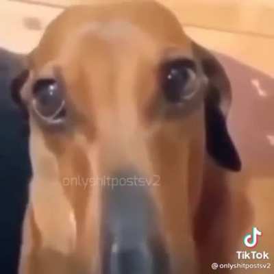 Bokpost