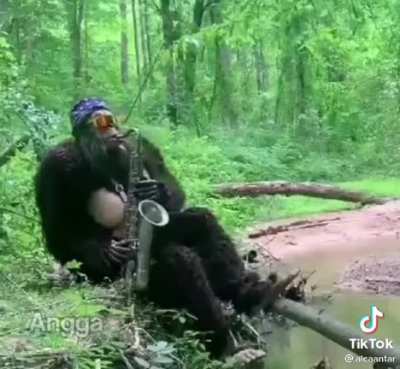 Back to be monkey