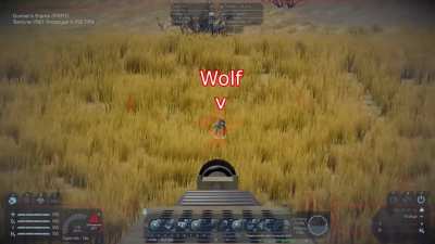 Wolf