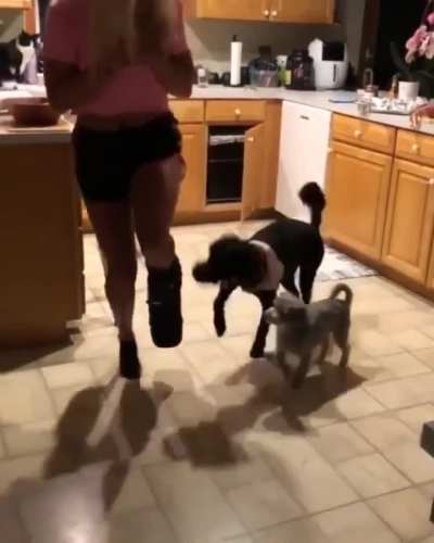 Dogs are always up for whatever even if they don't totally know what's going on. "This is what we're doing now? Cool, I love you"