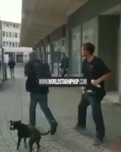 Another good reason to pick up your dog's poop (WSHH)
