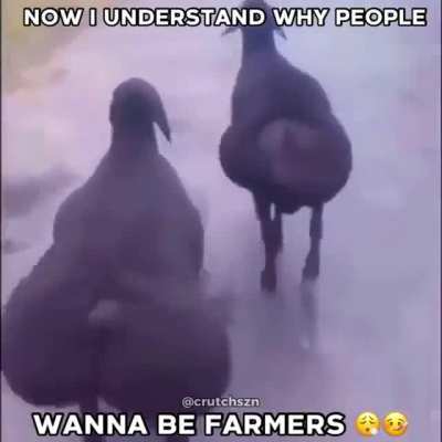 I wanna be a farmer