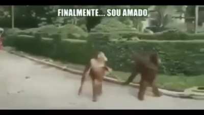 el sue&ntilde;o de todo el chat