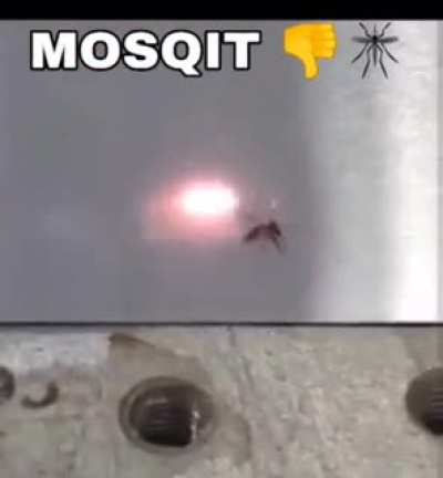 Mosqit 👎 🦟