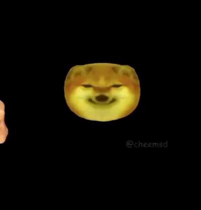B O N K