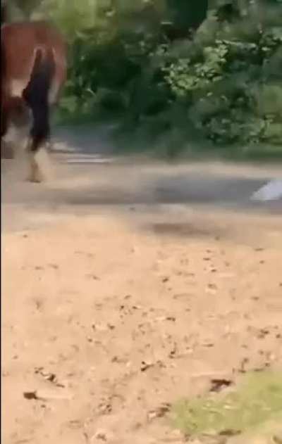 Messing around? That&rsquo;s what you get!