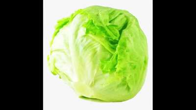 Lettuce