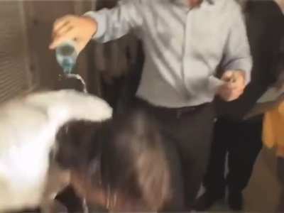 Cuando Macri antes de la presidencial ahogaba micrófono junto al periodista cqc