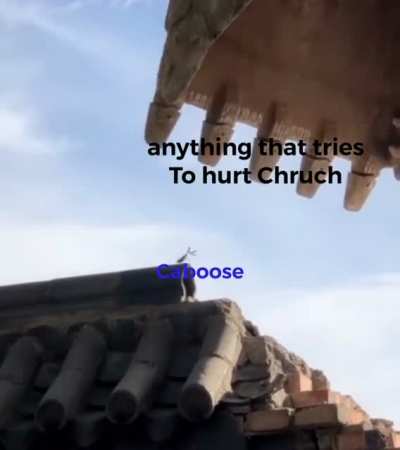 If this ain&rsquo;t canon then idk what is