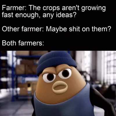 Great plan guys