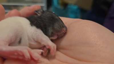 The SLEEPIEST grabbies!!