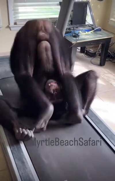 ThisLooksFun 