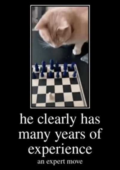 clearly a grandmaster