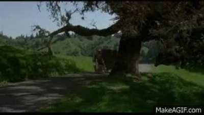 "Watch your head, Granny!"- The Beverly Hillbillies