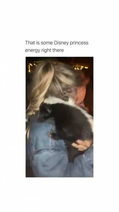 Drunk people forgot what skunks look like