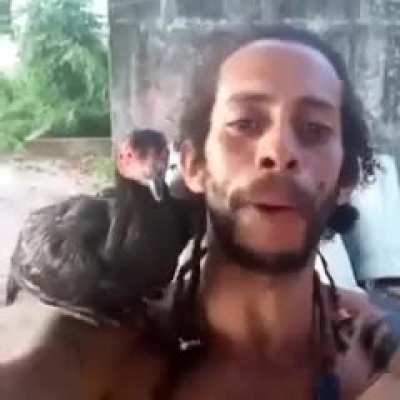 Papagaio raro