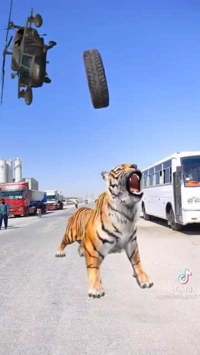 Indian Tiktok is something else…