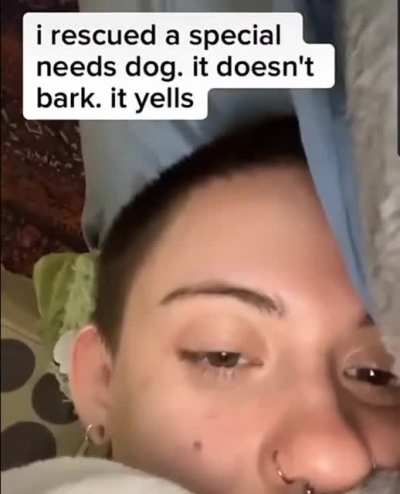 Can I please take a nap?