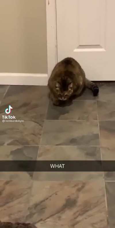Dafuck