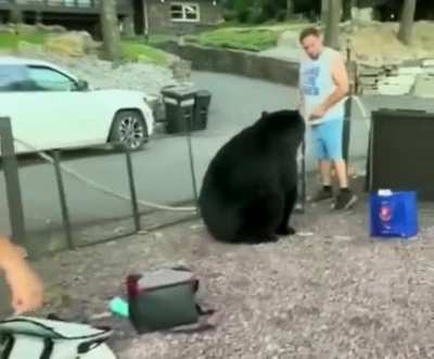 Man tells a bear he&rsquo;s not invited and has to leave