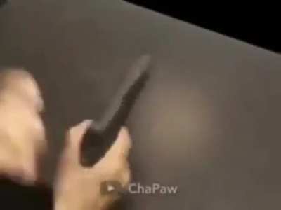 Die*