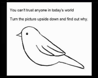 Did you see it?