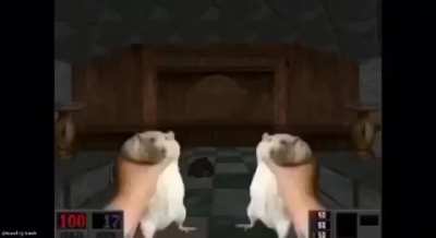 BAFMN