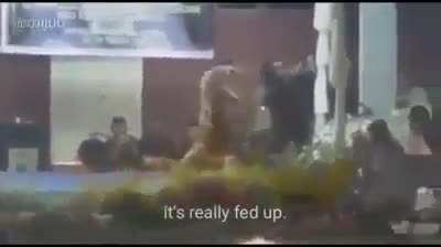 Ue so uma brincadeira de criancinha nada mais &ntilde;