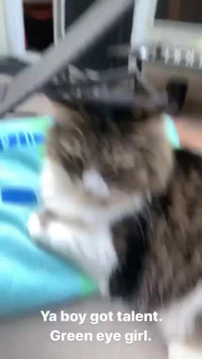 Green eye girl
