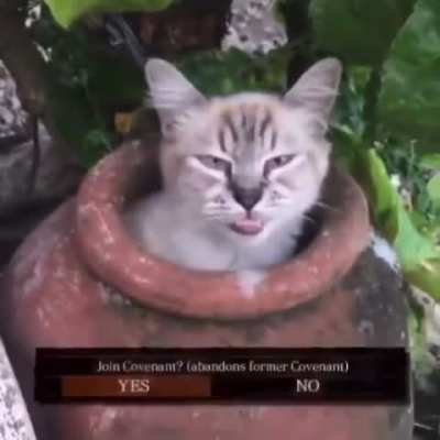 El mejor NPC