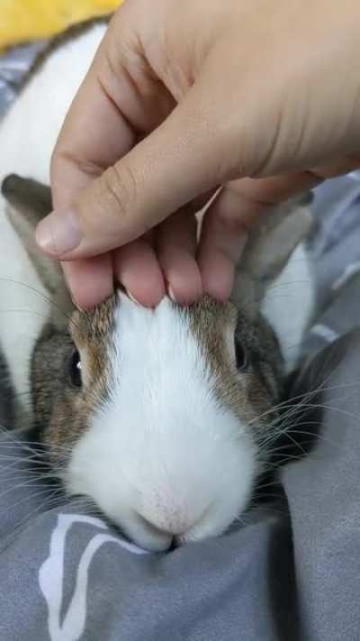 Pure bliss