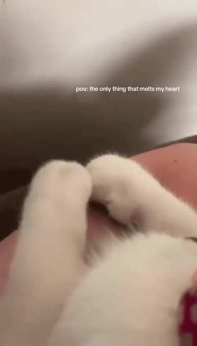 I&rsquo;m completely melted