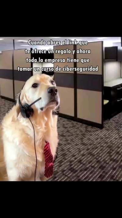 🐶