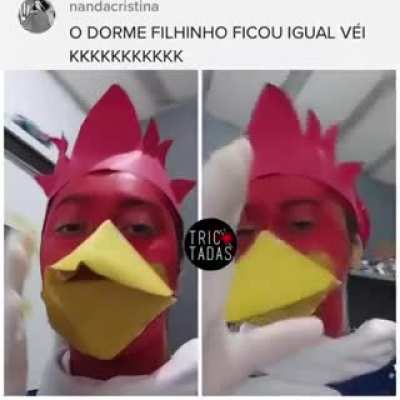pica pau