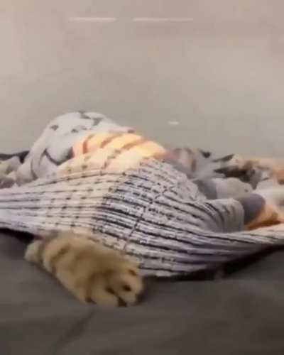UwU