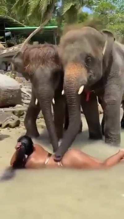 Puttin&rsquo; that trunk in her trunk