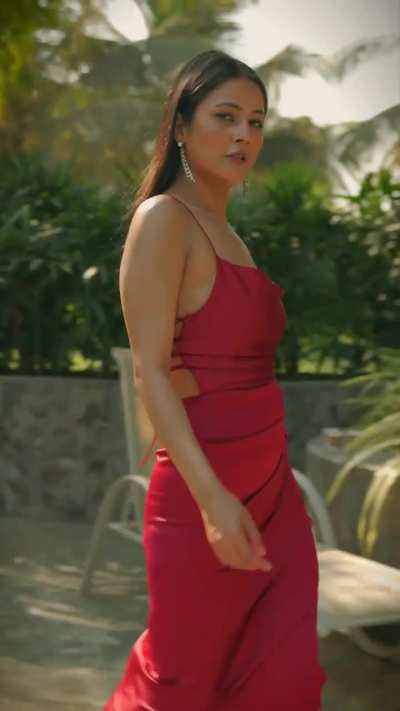 Shehnaaz gill 