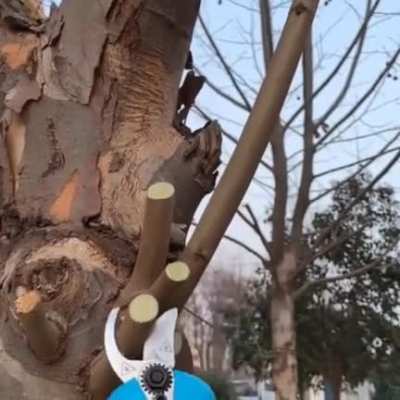 This branch cutter tool