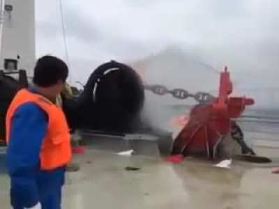 Anchor go brrr