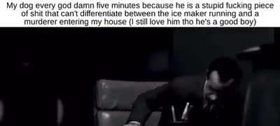 Calm down boy it&rsquo;s just the storm