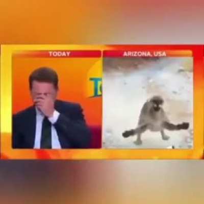 Monke T-Posing