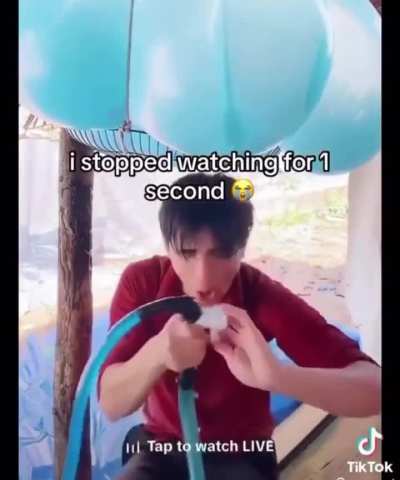 Losercity tiktok 