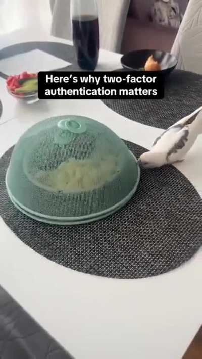 Evil but very powerful wizard creates a barrier to steal a meal from a innocent wunkus