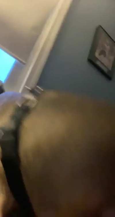 Me: *Breaths Deeply* My Dog: