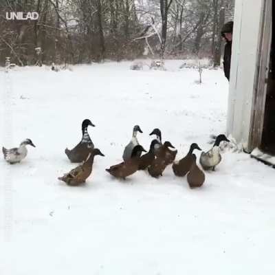 It's Cold Outside.