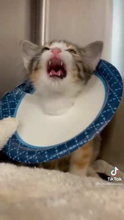 No talk me I&rsquo;m angy