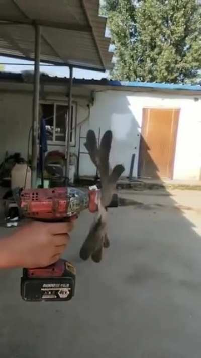 Spin that glove.